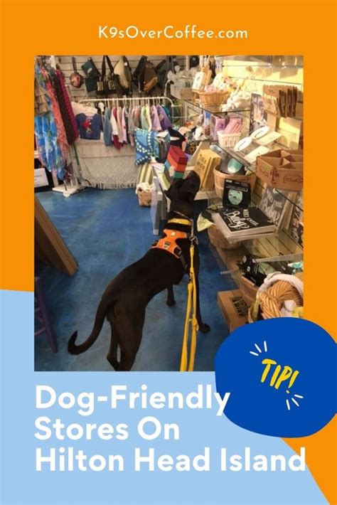 pet friendly hilton|Pet Supply Store .